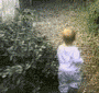 DAOC - zan.gif