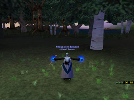 DAOC - album06_forestpull.jpg